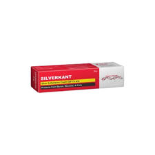 Silver Kant - Hospitech and Pharma Limited